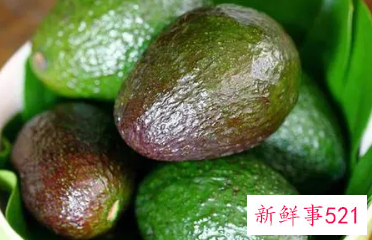 吃牛油果的食用禁忌