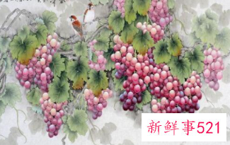 卧室风水画有哪些