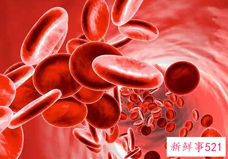 贫血最常见的几大原因