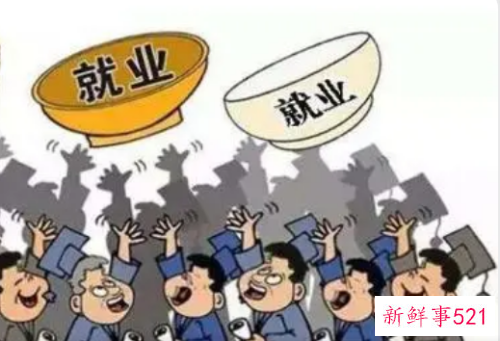 就业表实践情况怎么写