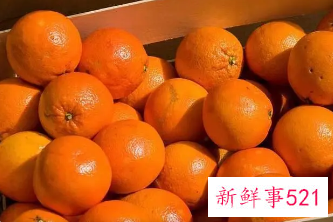 桔子的功效与作用禁忌