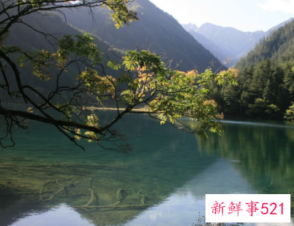 射手座2022运势好到爆