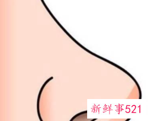 不整容怎么让鼻子变挺变小