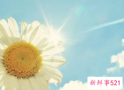 挫折与人生为话题的作文