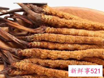 什么蘑菇对癌症好