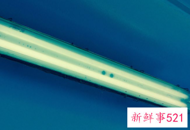 紫外线对人体有好处吗