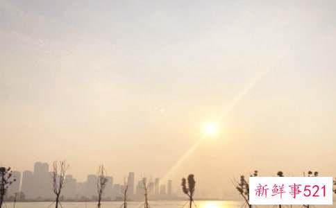 十二月三十一日出生是什么星座