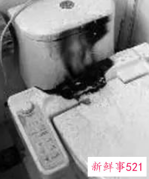 卫浴什么样的产品好