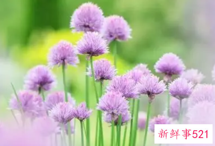 挫折与人生为话题的作文