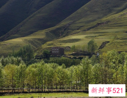 射手座2022运势好到爆