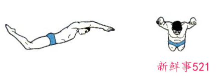 蝶泳动作分解图解