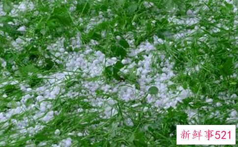 梦见天下冰雹的寓意