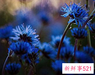 发言好怎么形容