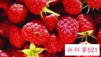 白酒泡树莓的功效与作用