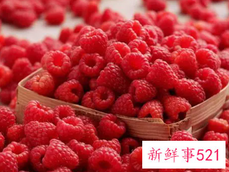 白酒泡树莓的功效与作用