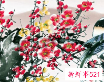 2022年金牛座运势完整版