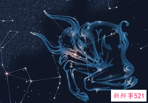 十二星座中最需要保护的五大星座