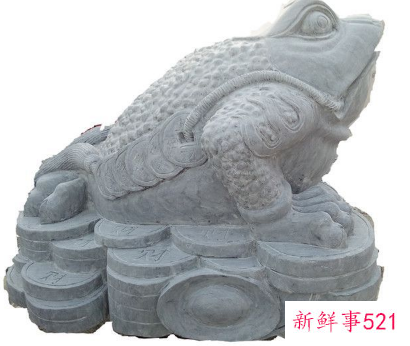 蟾蜍为什么招财