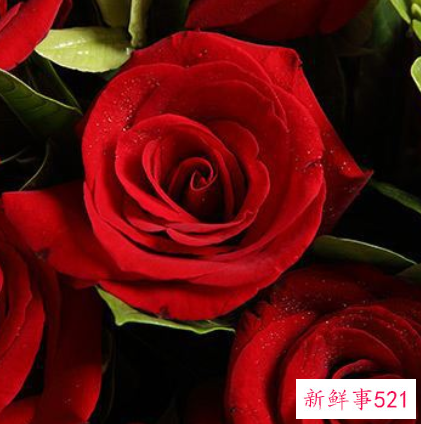 2022哪个星座女最适合结婚