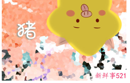 属猪人最苦命和最好命的月份