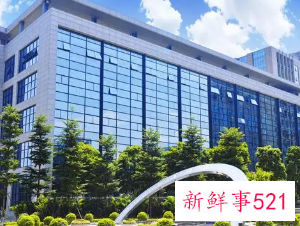 带有木字旁的公司名称