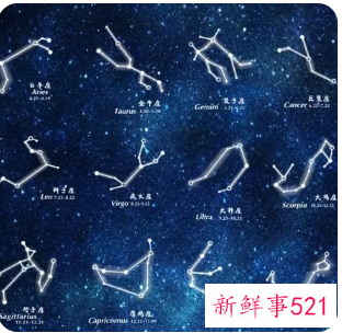 十二星座最会干什么