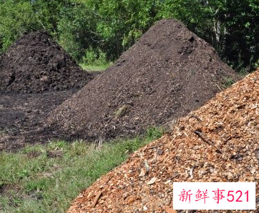 泥土种不出蔬菜能用什么改善土质