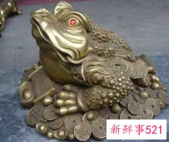 蟾蜍为什么招财