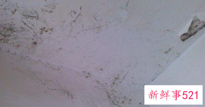 下雨家里地面渗水