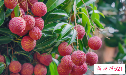 便秘儿童不宜吃苹果荔枝