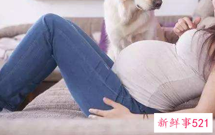 备孕期间可以接触宠物吗