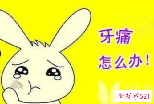 牙疼的处理方法