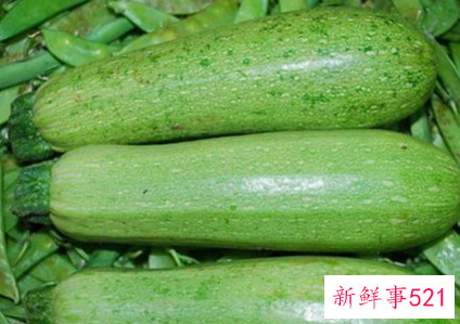 方瓜和南瓜哪个营养高