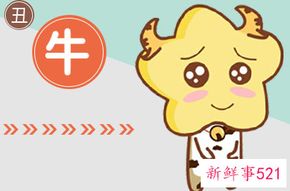 属鼠女最配属相是什么