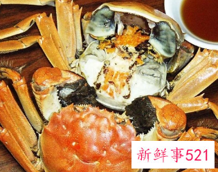 吃螃蟹性寒什么意思