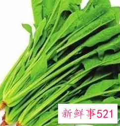 菠菜的功效与作用是什么