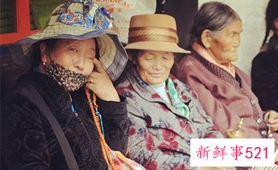 海南莲雾的功效与作用