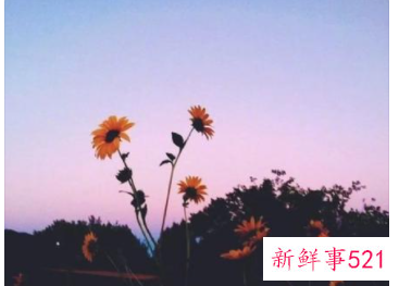 温柔和什么词搭配