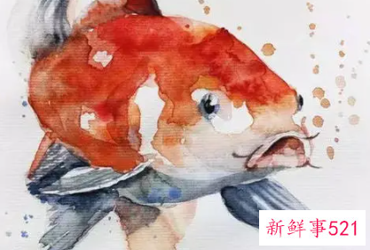 会给办公室带去好运的风水挂件