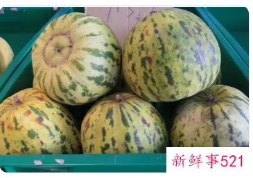 新疆丑瓜的功效