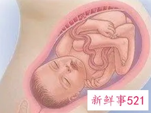 38周胎儿可以生了吗