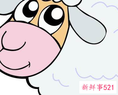 属鼠人一辈子的克星