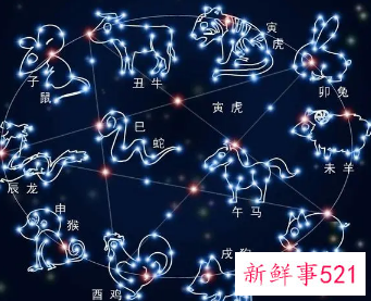 十二星座最怕什么课