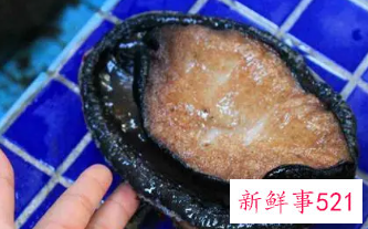 煮鲍鱼水为啥是蓝色的