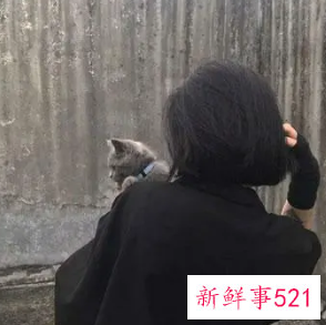 薄头发短发发型