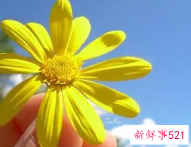 心态可以治疗一切疾病