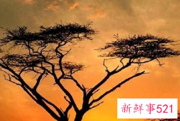 如何丰富全职妈妈的生活