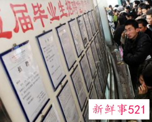 应届毕业生工作