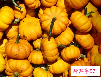 新西兰南瓜的营养价值及功效与作用