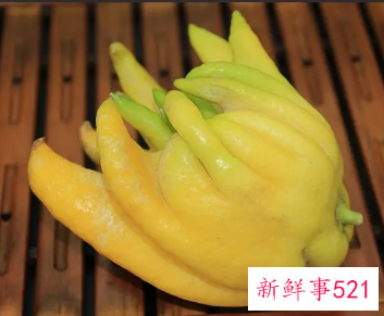 新鲜的佛手柑怎么吃